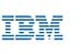 IBM enterprise technology partner